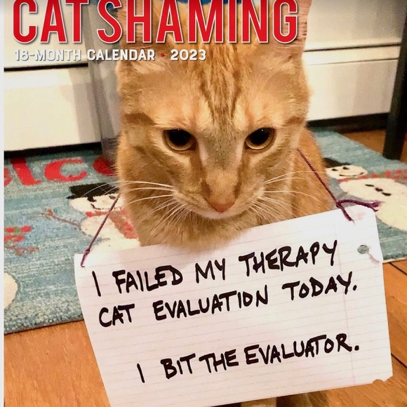 💟CC’S POSHER STYLE PAGE! - Picture 8 of 16